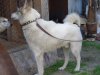 DSC01894.JPG