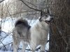 DSC01698.JPG