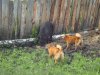 DSC06547.JPG