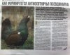Савченко_статья1_РОГ-2015-28_стр.1.jpg