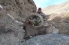 AT-Safaris 189.jpg