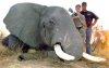 Hunting_Africa_06.jpg