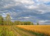 IMG_0534.jpg