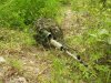 DSCN4653.JPG