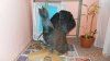 DSCN1185.JPG