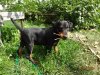 DSC04753.JPG