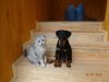 DSC04735.JPG