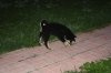 IMG_0257.JPG