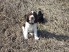 DSC02674.JPG