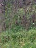 IMG-20150825-WA0000.jpg