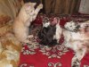DSCF0756.JPG