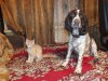 DSCF0738.JPG
