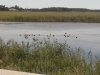 20150828_095133.jpg