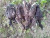 20150829_095550.jpg