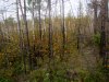 IMG_4070.JPG