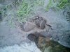 IMG-20150831-WA0000.jpg