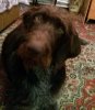 20150924_220838.jpg