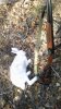 IMG-20151014-WA0000.jpeg