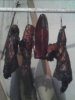 IMG0012A.jpg