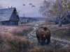 медведь в деревне.jpg