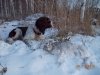 DSCN0418.JPG