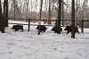 DSC05991.JPG
