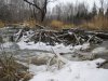 IMG_1267.JPG