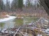 IMG_1278.JPG