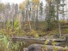 IMG_1191.JPG