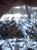CAM00194.jpg