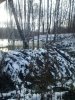 CAM00195.jpg