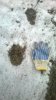 WP_20151107_001.jpg