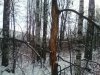 IMG_20151104_105853 - копия.jpg
