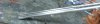 SL374654.JPG