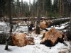DSCF0712.jpg
