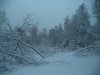Осень 2015 005.jpg