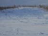DSCN0098.JPG