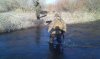 20151226_095720.jpg