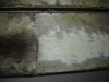 DSC07507.JPG