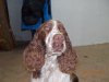 DSCN0352.JPG