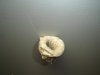 DSC07517.JPG