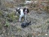 DSCF1159.JPG