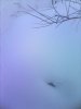 IMG_20160123_124856.jpg