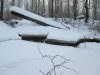 IMG_0065.JPG