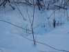DSCN8699.JPG