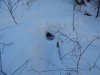 DSCN8700.JPG