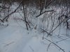 DSCN8701.JPG