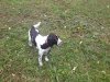 IMG_0186.JPG