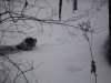 DSC08774.JPG