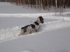 DSC08763.JPG